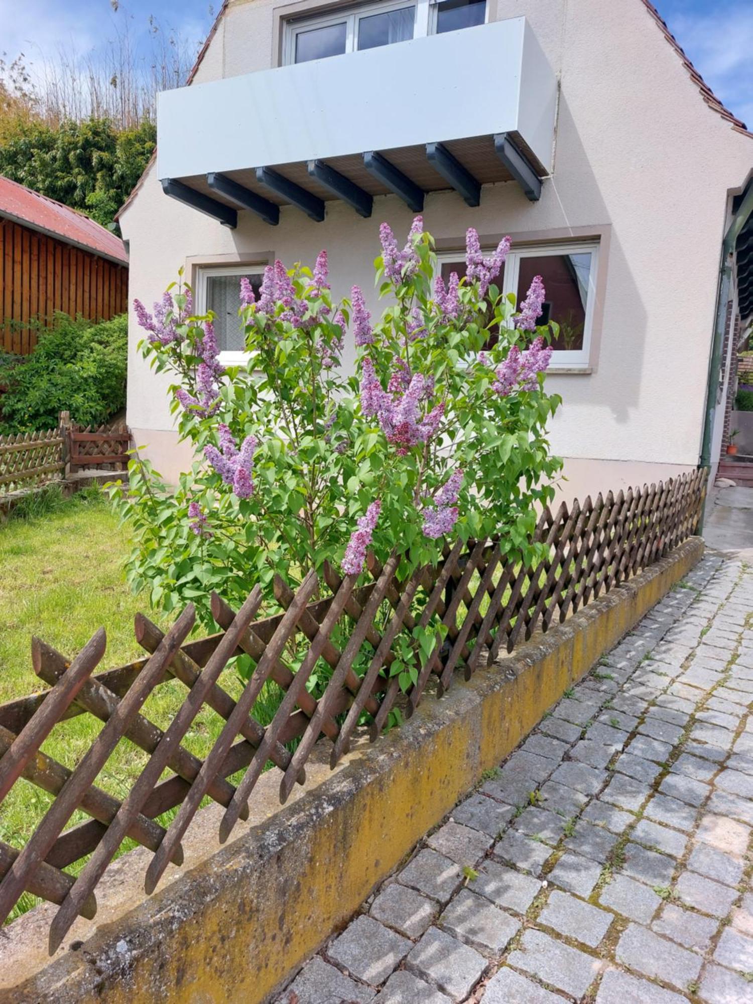 Sehr Beliebt! Ferienhaus Zur Donau 허버팅언 외부 사진